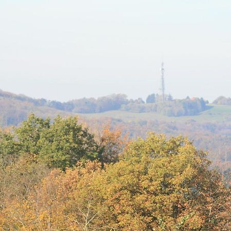 Fewo Im Naturpark Spiegelberg Exterior foto